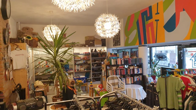 Eine Innenansicht des Ladens mit Bücherregalen und auffälligen, großen Deckenlampen.